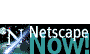 Netscape Now!